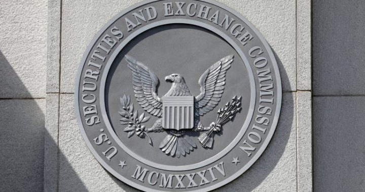 SEC Crypto Litigation Releases: November 2024