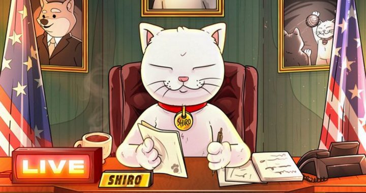 Shiro Neko Achieves $1 Billion Market Cap on Day 1