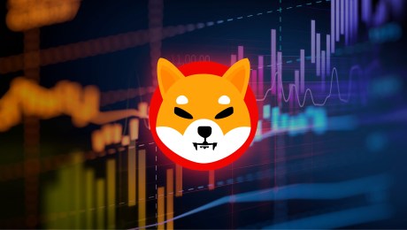 Shiba Inu Price Rebounds Toward $0.00003, Taking 69% Of All Holders Back Into The Green