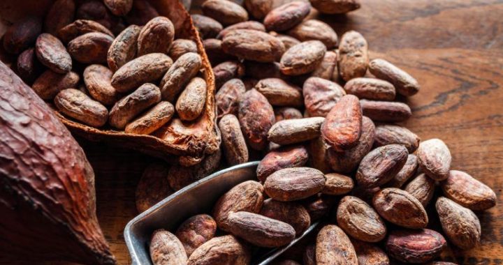 Roasted Bitcoin? Cocoa Rises as the Best Investment of 2024