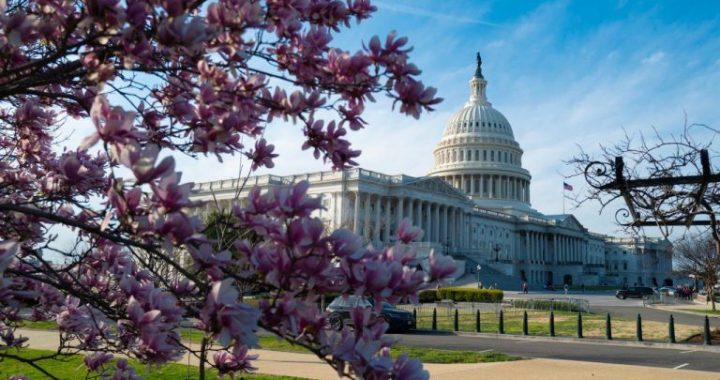 Ripple’s Legal Chief Urges Congress to Regulate Crypto Practices, Not Technology