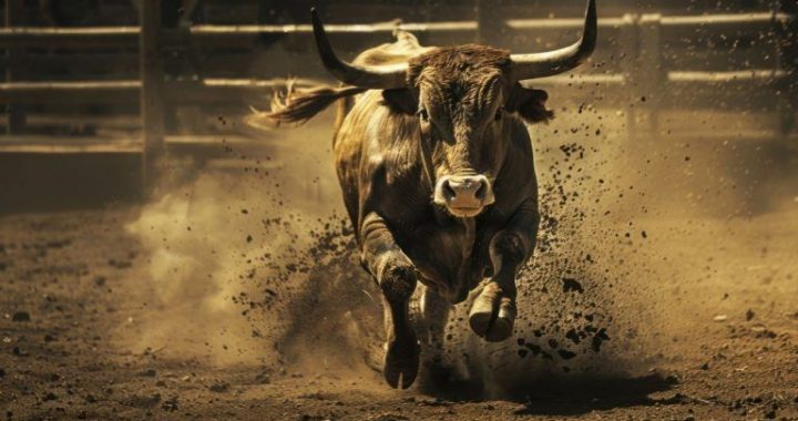 Crypto’s in Multi-Year Bull Market, and the Fed Can’t Stop It, Expert Says
