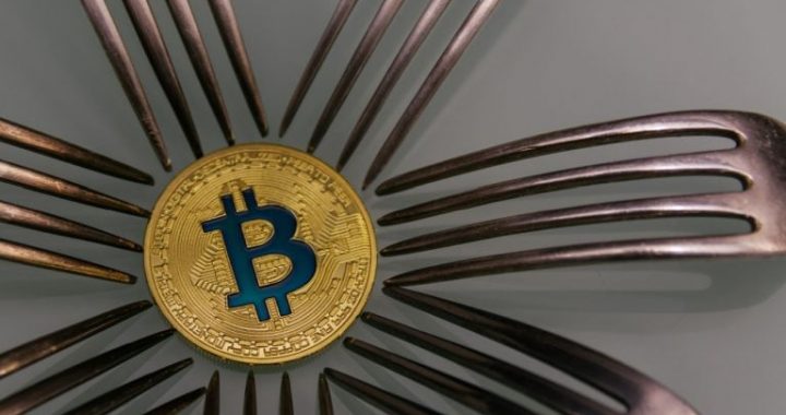 Cobra Warns of a New Bitcoin Soft Fork Next Year