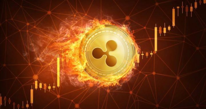 Ripple Exec Warns of RLUSD Supply Shortages, Advises Against FOMO Buying