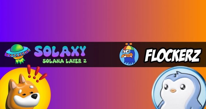 Pengu, Bonk Lead Top Meme Coin Gainers as Some Analysts Think Solaxy and Flockerz are Next to Pump