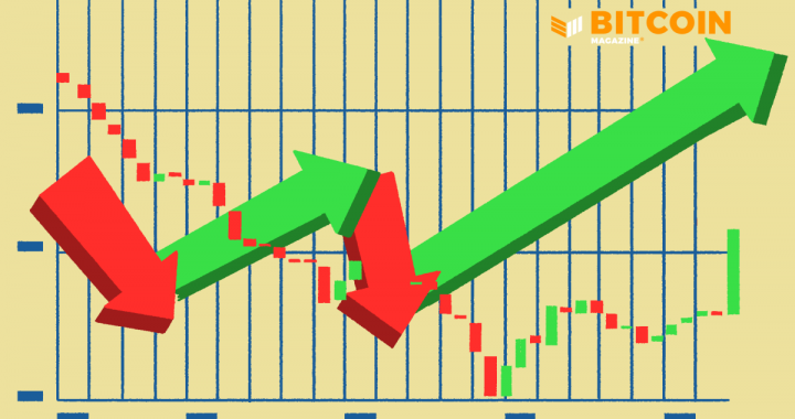 Buying Bitcoin Is Easy, HODLing Is the Hard Part
