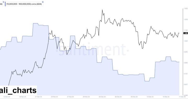 Ethereum Whales Eye Rising AI Altcoin Predicted To Outperform Cardano And Shiba Inu By Q2 2025