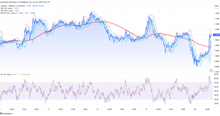 Cardano Whales Are Jumping Ship? Is It All Over For ADA Price?