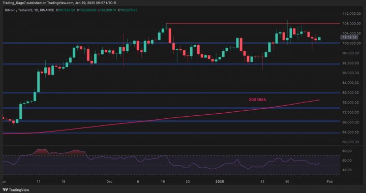 Bitcoin Price Analysis: BTC at a Turning Point, What’s Next After Consolidation?