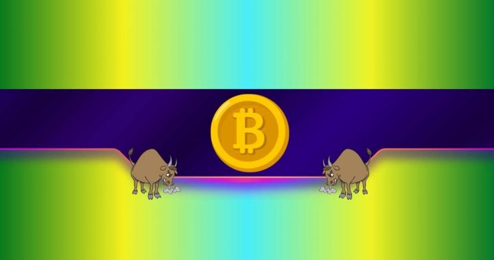 How High Could Bitcoin Go in This Bull Cycle? Analyst Weighs In