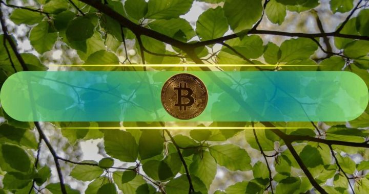 Bitcoin Positions for Further Gains as Sell-Side Liquidity Dries Up: Bitfinex Alpha