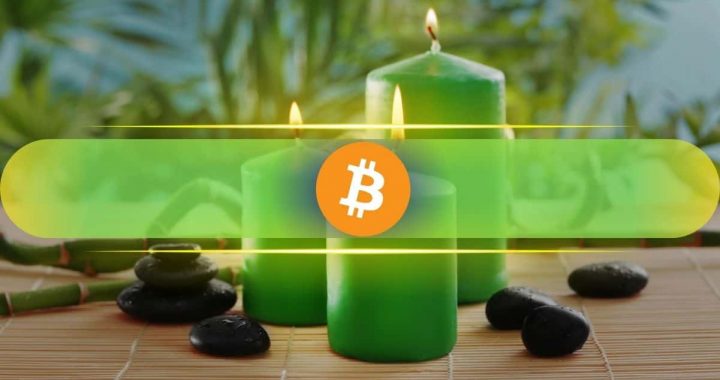 Bitcoin Records Double-Digit Gains in 8 of 12 Februaries: Will History Repeat?