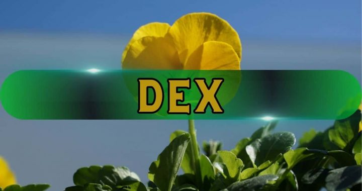 89% of DEX Pools Exploited by Creators in Pump-and-Dump Schemes: Chainalysis