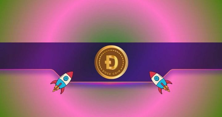 Dogecoin Price Explodes as Department of Government Efficiency Website Adds Meme Coin Logo