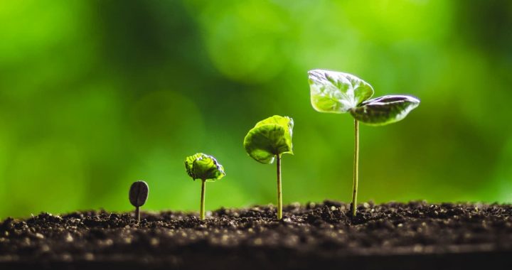 Crypto Market Recorded Strong Growth in December: Binance