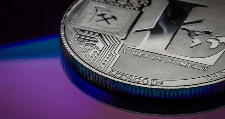 Litecoin Surges 17% as Whales Accumulate on Spot ETF Hopes 