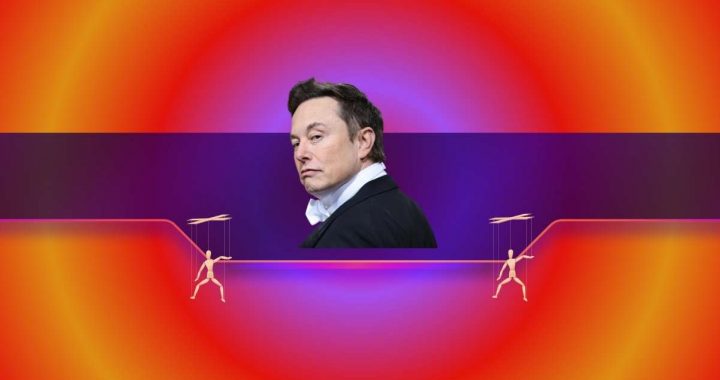 This Meme Coin Crashes by 60% After Another Elon Musk Interaction on X: Details