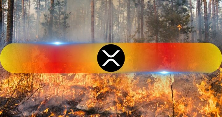 Ripple Donates $100K in XRP for California Wildfire Relief Efforts