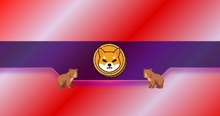 Major Shiba Inu Announcement: Is This Why SHIB Price Plunged?
