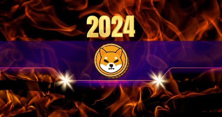 Here’s How Many Shiba Inu (SHIB) Tokens Got Burned in 2024