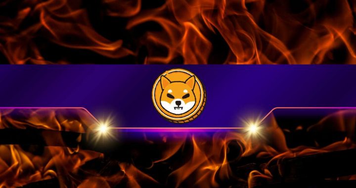 Shiba Inu Burn Rate Explodes by Over 7,000%: Is the SHIB Price Ready to Take off?
