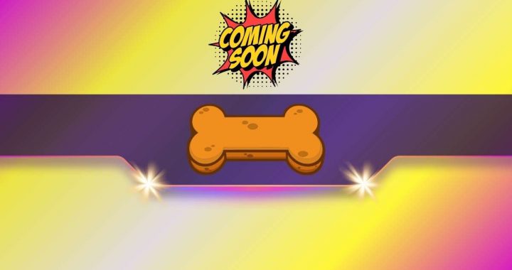 Here’s When This Shiba Inu-Related Meme Coin Will Go Live