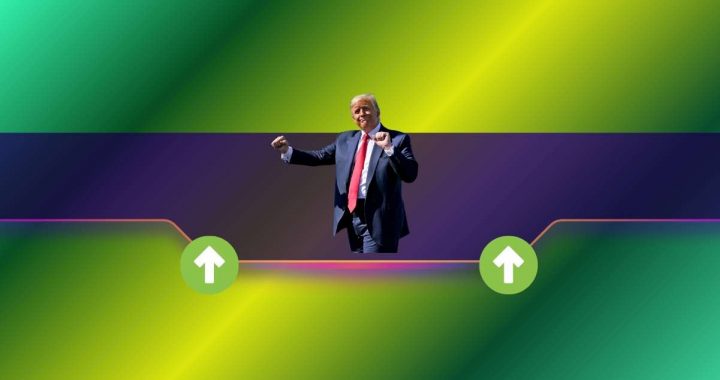 Donald Trump’s ‘Official’ Meme Coin Cracks Top 40 Altcoins: Crypto Community Reacts