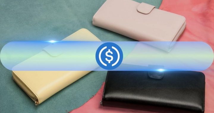 USDC Circulation Grew 78% in 2024: Report