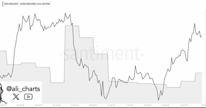 Dogecoin Bulls Eye $3 As Whales Scoop 200 Million DOGE In The Last 2 Days