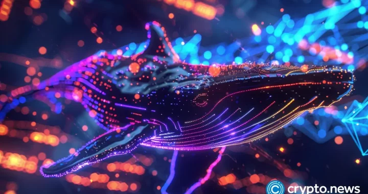 Whales load up on these cryptos before 2025 bull run: SOL, AVAX, DOT, XYZ