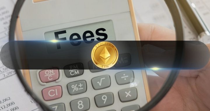 Ethereum Leads Blockchain Fee Revenue in 2024 with $2.48 Billion in Gas Fees