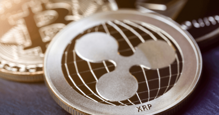 BTC vs. XRP: Experts Warn of Concentration Risks in US Bitcoin-Only Reserve