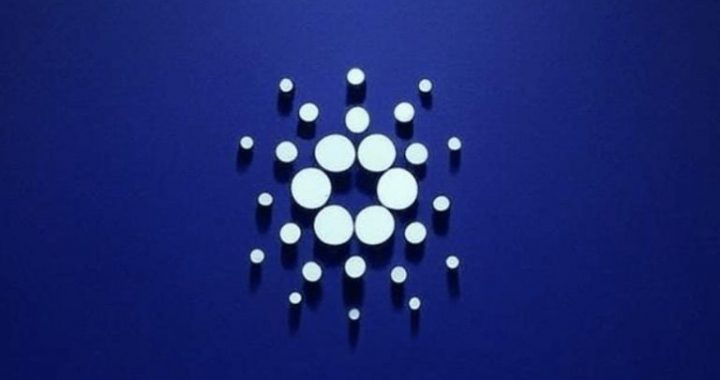 Cardano and Stellar Lead Altcoin Rally While Best Wallet Token Presale Hits $6.2M
