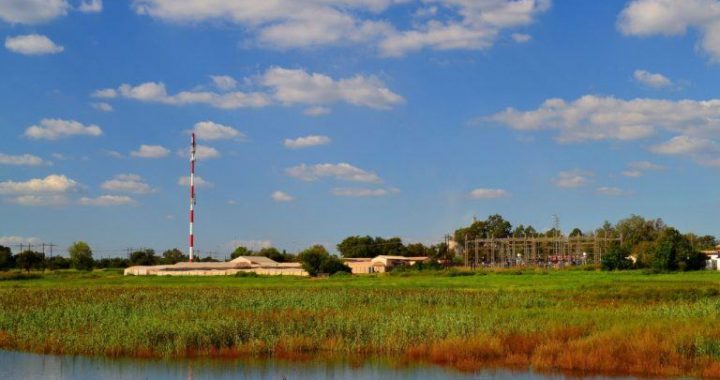 South African Court Sets Bail for Man Accused of Sending Bitcoin to Terrorists