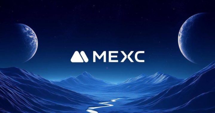 MEXC Platform Token MX: Key Achievements and Highlights of 2024