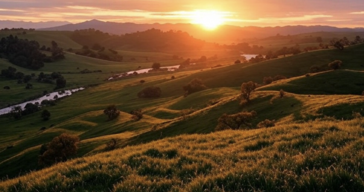 California Is Working Towards Embracing Bitcoin
