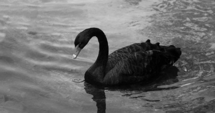 Nassim Taleb Warns About AI’s Bubble Bursting: ‘This Is the Beginning’