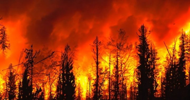 Ripple’s RLUSD Powers California Wildfire Relief With Crypto Donation
