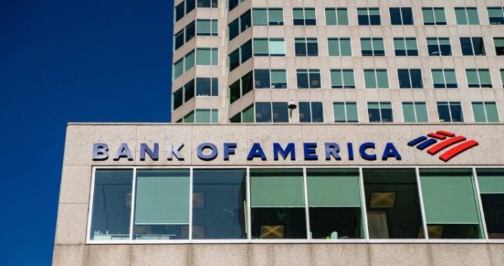 Bank of America CEO Foresees Crypto Payment Boom With Clear Rules