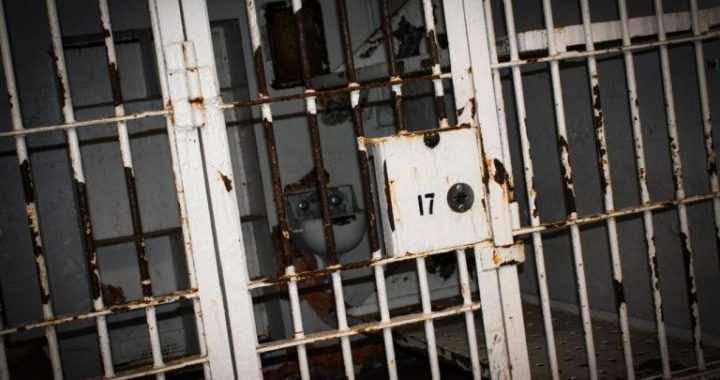 FTX Founder’s Parents Push for Pardon After Trump’s Ross Ulbricht Decision