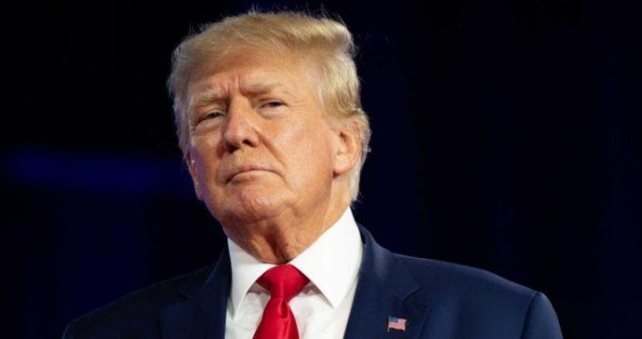 BRICS Unmoved by Trump’s 100% Tariff Threats, Says Russian Envoy