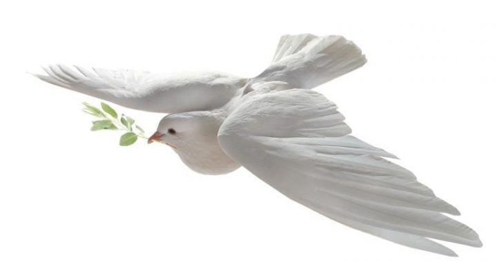 Trump’s Czar Proclaims the End of the ‘Reign of Terror’ Against Crypto