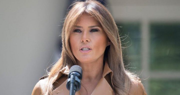 Tuttle Capital Files for a Leveraged Melania Trump Memecoin ETF