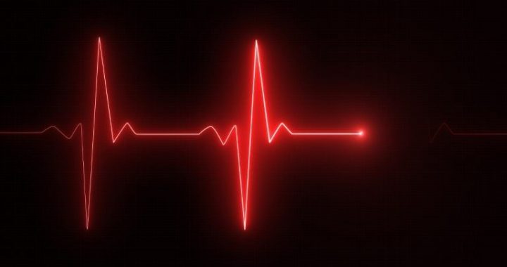 Fewer Transfers, Greater Debate: Bitcoin’s Low Transfer Volume Puts Network Incentives in Question