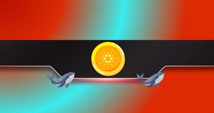 Millions of ADA Sold by Cardano Whales During Market Crash – Will the Decline Continue?