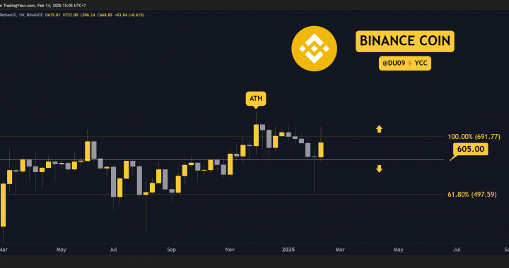 Binance Coin (BNB) Price Predictions for This Week