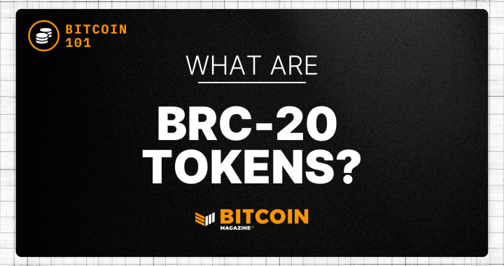 What are BRC-20 Tokens?
