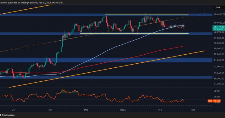 BTC Price Analysis: Where Is Bitcoin Headed After $100K Rejection?