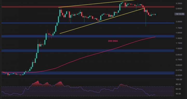 Ripple Price Analysis: Can XRP Maintain Its Bullish Momentum After the Crash?