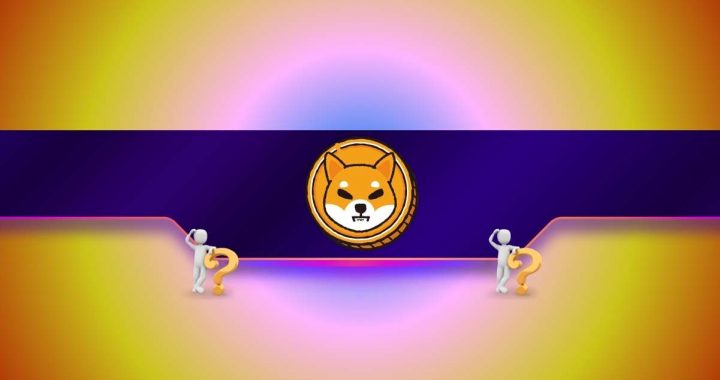 Shiba Inu (SHIB) Crashes 20% Daily But This Key Metric Suggests a Comeback